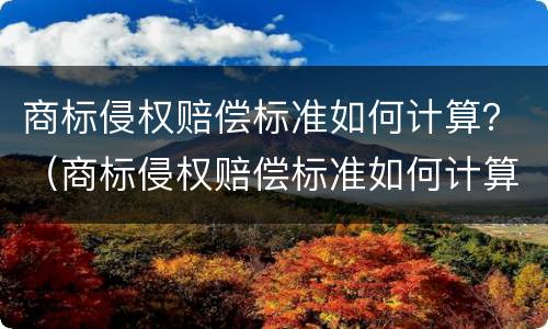 商标侵权赔偿标准如何计算？（商标侵权赔偿标准如何计算出来）