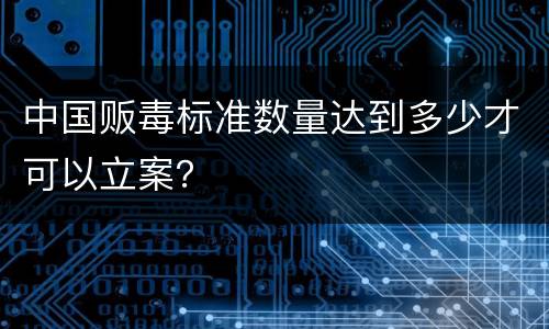 中国贩毒标准数量达到多少才可以立案？