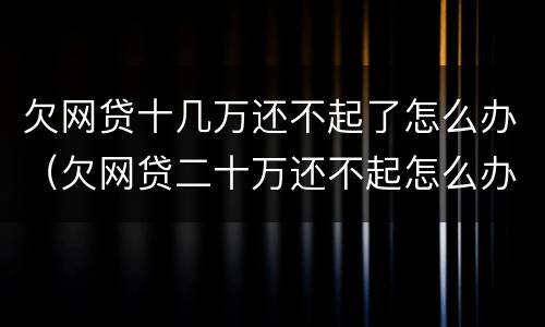 欠网贷十几万还不起了怎么办（欠网贷二十万还不起怎么办）