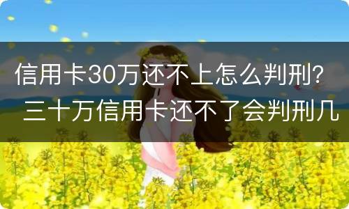 信用卡30万还不上怎么判刑？ 三十万信用卡还不了会判刑几年
