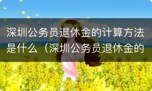 深圳公务员退休金的计算方法是什么（深圳公务员退休金的计算方法是什么意思）