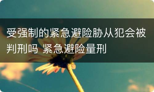 受强制的紧急避险胁从犯会被判刑吗 紧急避险量刑
