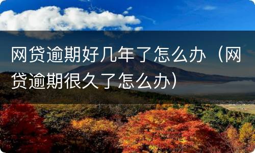 网贷逾期好几年了怎么办（网贷逾期很久了怎么办）
