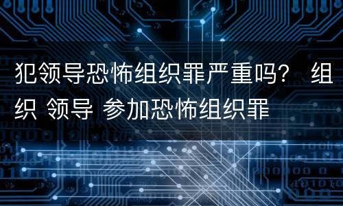 犯领导恐怖组织罪严重吗？ 组织 领导 参加恐怖组织罪