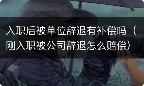 入职后被单位辞退有补偿吗（刚入职被公司辞退怎么赔偿）