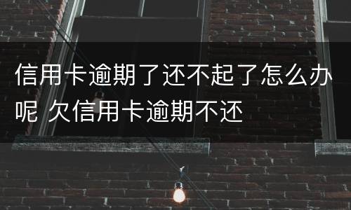 信用卡逾期了还不起了怎么办呢 欠信用卡逾期不还