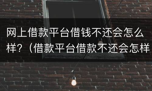 网上借款平台借钱不还会怎么样?（借款平台借款不还会怎样）