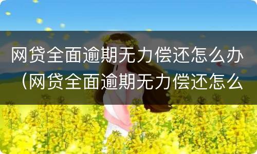 网贷全面逾期无力偿还怎么办（网贷全面逾期无力偿还怎么办啊）
