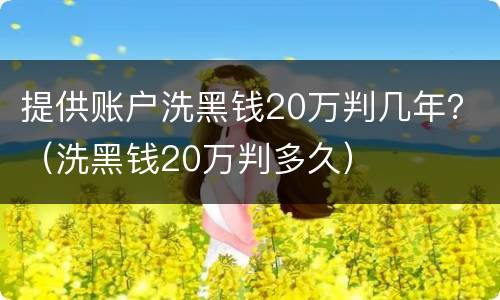 提供账户洗黑钱20万判几年？（洗黑钱20万判多久）