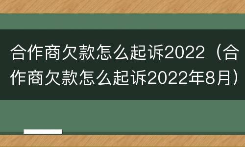 合作商欠款怎么起诉2022（合作商欠款怎么起诉2022年8月）