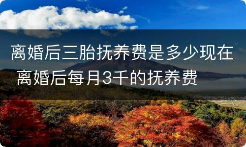 离婚后三胎抚养费是多少现在 离婚后每月3千的抚养费