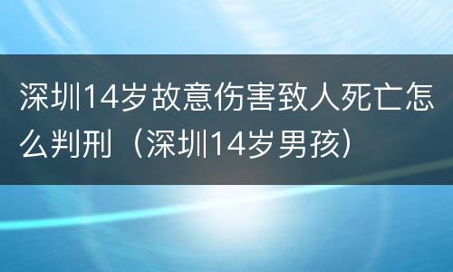 深圳14岁故意伤害致人死亡怎么判刑（深圳14岁男孩）