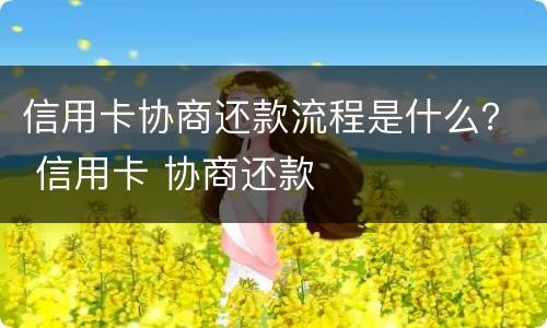 信用卡协商还款流程是什么？ 信用卡 协商还款