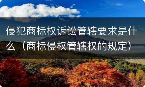 侵犯商标权诉讼管辖要求是什么（商标侵权管辖权的规定）