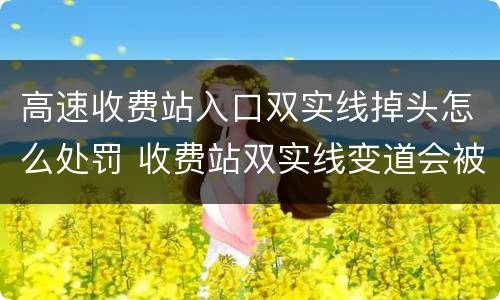 高速收费站入口双实线掉头怎么处罚 收费站双实线变道会被拍吗