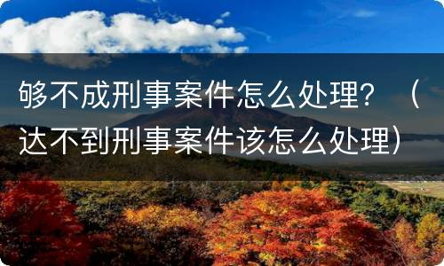 够不成刑事案件怎么处理？（达不到刑事案件该怎么处理）