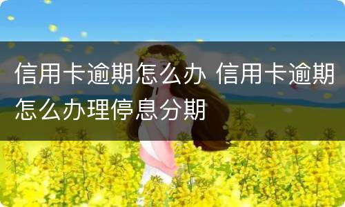 信用卡逾期怎么办 信用卡逾期怎么办理停息分期