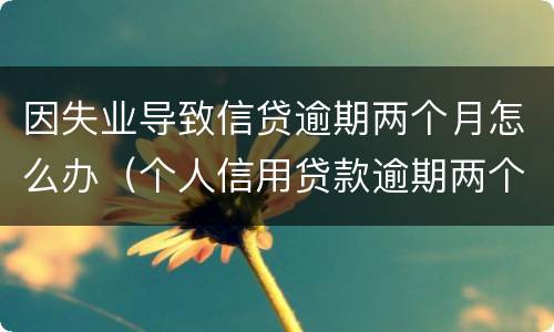 因失业导致信贷逾期两个月怎么办（个人信用贷款逾期两个月后果）