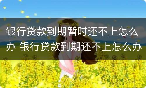 银行贷款到期暂时还不上怎么办 银行贷款到期还不上怎么办?