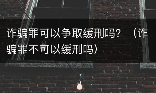 诈骗罪可以争取缓刑吗？（诈骗罪不可以缓刑吗）