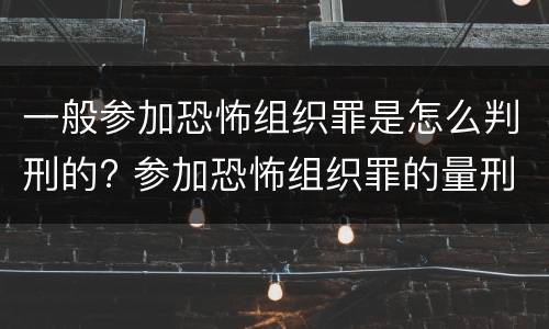 一般参加恐怖组织罪是怎么判刑的? 参加恐怖组织罪的量刑