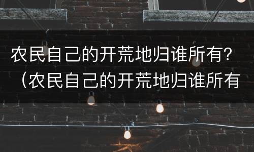 农民自己的开荒地归谁所有？（农民自己的开荒地归谁所有怎么写）