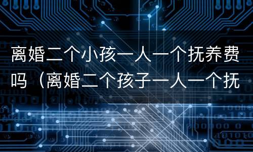 离婚二个小孩一人一个抚养费吗（离婚二个孩子一人一个抚养费怎么算）