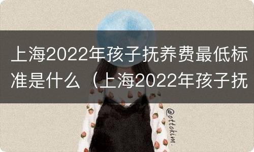 上海2022年孩子抚养费最低标准是什么（上海2022年孩子抚养费最低标准是什么时候发放）