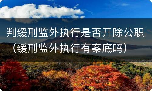 判缓刑监外执行是否开除公职（缓刑监外执行有案底吗）