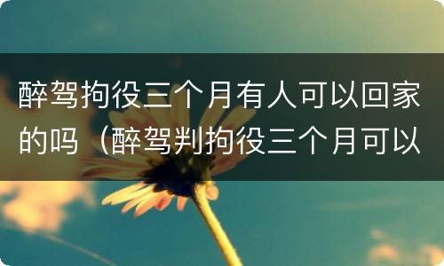 醉驾拘役三个月有人可以回家的吗（醉驾判拘役三个月可以每个月回家一天吗）