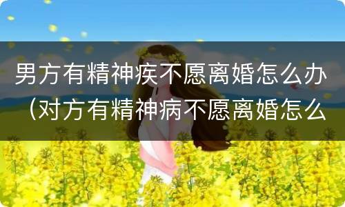 男方有精神疾不愿离婚怎么办（对方有精神病不愿离婚怎么办）