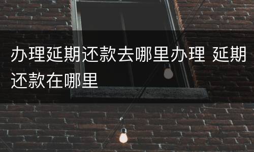 办理延期还款去哪里办理 延期还款在哪里