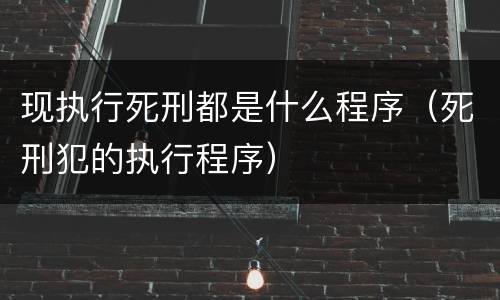 现执行死刑都是什么程序（死刑犯的执行程序）