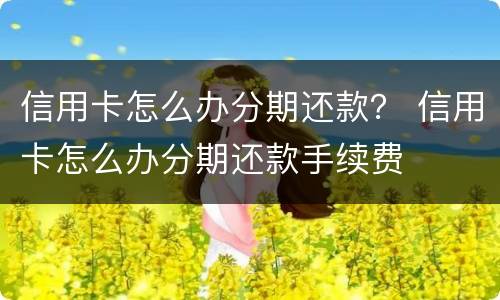 信用卡怎么办分期还款？ 信用卡怎么办分期还款手续费