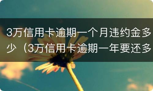 3万信用卡逾期一个月违约金多少（3万信用卡逾期一年要还多少）