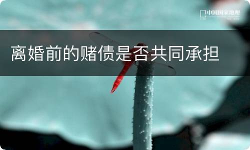 离婚前的赌债是否共同承担
