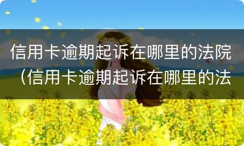 信用卡逾期起诉在哪里的法院（信用卡逾期起诉在哪里的法院受理）