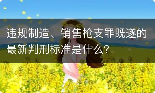 违规制造、销售枪支罪既遂的最新判刑标准是什么？