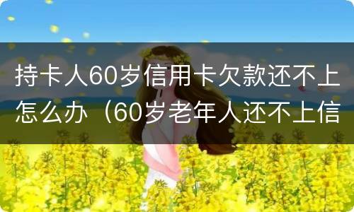 持卡人60岁信用卡欠款还不上怎么办（60岁老年人还不上信用卡怎么办）