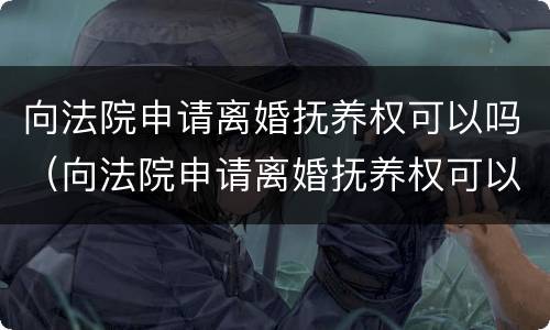 向法院申请离婚抚养权可以吗（向法院申请离婚抚养权可以吗）