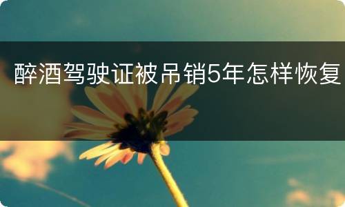 醉酒驾驶证被吊销5年怎样恢复