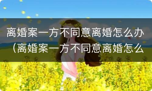 离婚案一方不同意离婚怎么办（离婚案一方不同意离婚怎么办手续）