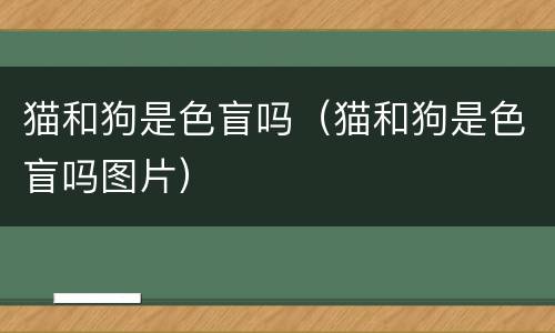 猫和狗是色盲吗（猫和狗是色盲吗图片）