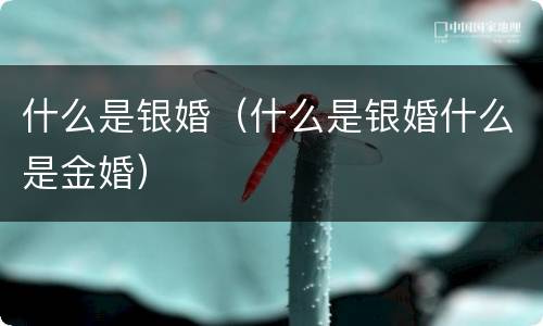 什么是银婚（什么是银婚什么是金婚）