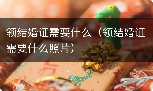 领结婚证需要什么（领结婚证需要什么照片）