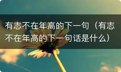 有志不在年高的下一句（有志不在年高的下一句话是什么）