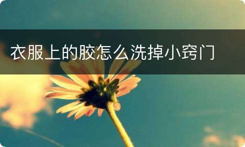 衣服上的胶怎么洗掉小窍门