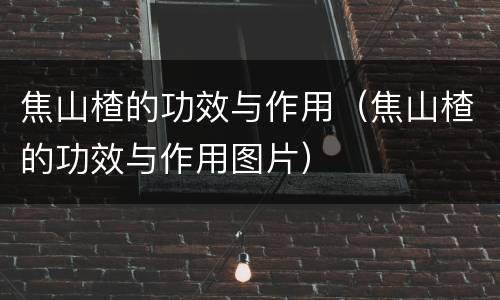 焦山楂的功效与作用（焦山楂的功效与作用图片）