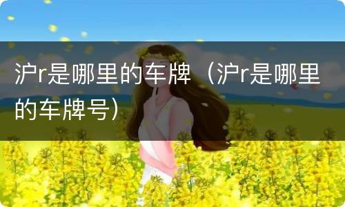 沪r是哪里的车牌（沪r是哪里的车牌号）