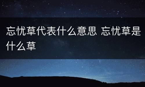 忘忧草代表什么意思 忘忧草是什么草